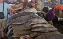 Marché aux poissons de Saint-Louis : le bâtiment menace de s’effondrer sur les occupants