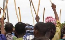 ​Podor : des affrontements entre agriculteurs et éleveurs font un mort