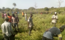 ​Retour du cantonnement militaire de Saliote : les populations de la Commune de Djibanar poussent un ouf de soulagement