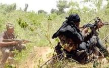« L’Etat du Sénégal avait déjà nourri les rebelles avant l’arrivée du président Wade » (analyste)