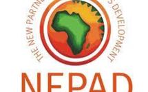 Ethiopie : Un colloque en vue pour la réflexion sur l'avenir du NEPAD