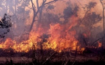 Un feu est en train de ravager le village de Diamagadio (Kaffrine) 
