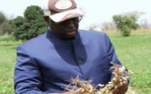 #AdresseALaNation2019 - Macky Sall fixe le kilogramme de l'arachide