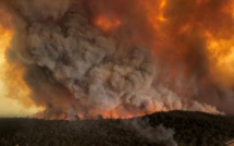 L'Australie s'intoxique avec les fumées de feux de forêts géants