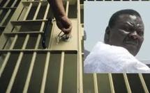 Affaire de meurtres : Les avocats de Béthio Thioune annoncent une demande de liberté provisoire