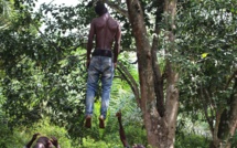 Tivaouane-Peul : un homme de 32 ans retrouvé pendu dans la forêt