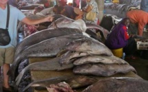 Nouvelles taxes à l’essieu: les mareyeurs en grève de 72 heures dès ce mercredi