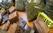 Gares des baux maraîchers : 300 Kilos de chanvre indien saisis