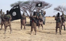 Tchad: Six militaires tués dans une attaque de Boko Haram