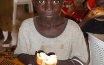 Lutte contre la faim: 06 pays reçoivent 177 millions de dollars de dons, dont 40 millions pour le Sénégal