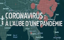 La pandémie de coronavirus paraît inéluctable