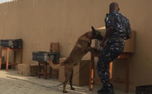 Au Bénin, la brigade canine se renforce et se modernise