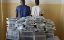 ​Rufisque: 248 kilogrammes de chanvre indien saisis, un individu arrêté