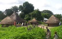Diabir: A la découverte du village qui abritait les réunions du MFDC