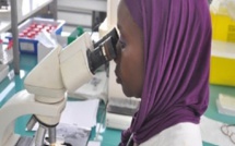 Covid-19 : 12 nouveaux cas enregistrés à Tambacounda