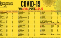 Coronavirus en Afrique: plus de 24 000 cas - avec plus de 6 250 guérisons et 1 100 décès (OMS)