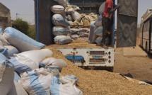 Sécurisation du marché domestique : 2400 cartons de lait, 1800 cartons de bonbons¸7 tonnes de sucres, saisis par la Douane