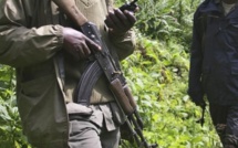 Le parc national des Virunga, en RDC, frappé par l'attaque la plus meurtrière
