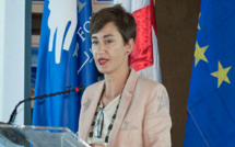 Utilisation de l’artemisia contre le Covid-19: l’UE donne sa position