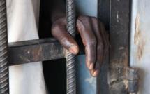 Gambie-Manifestation pacifique contre les exécutions: 02 journalistes en détention