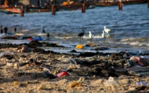 Dépollution de la Baie de Hann: les travaux démarrent à la fin du mois de septembre 2020 (Directeur Onas)