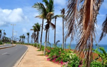 Corniche Ouest de Dakar : un nouveau litige oppose l'épouse d'un ex-ministre sous le régime de Macky et les artisans 