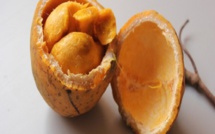 Le Saban, un fruit riche en vitamine c et en vitamine B6
