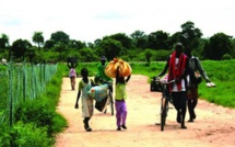 Populations Touba-Tranquil de Casamance: Ces hôtes «sénégalais» étrangers qui vivent parmi nous