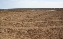 Foncier au Sénégal : Révélations sur des milliers d’hectares de terres volés aux populations – les noms des localités, des pontes et des sociétés concernés