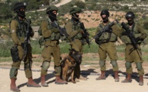 L'armée israélienne tire sur quatre personnes menaçant sa frontière syrienne, selon un communiqué