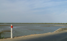 Apparition de deux nouvelles brèches sur le fleuve Sénégal : des villages du Gandiolais face à la furie