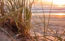 Dragage de leur sable marin pour remblayer la plage de Saly: les pêcheurs de Pointe Sarène disent niet 