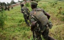 RDC: reprise des combats dans le Nord-Kivu