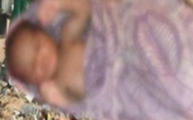 Dr Serigne Falilou Samb sur les 18 fœtus ramassés à la décharge de Mbeubeuss: "il faut revoir l'éducation sexuelle des adolescents"