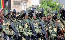 Ziguinchor: L'Armée brûle un grand champ de chanvre indien cultivé par une bande armée