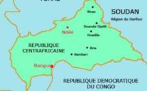 Les attaques dans le nord-est de la République centrafricaine revendiquées par une alliance de groupes armés