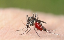 Dengue à Kaffrine : une fille et un garçon de 18 ans touchés