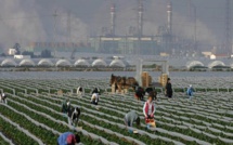 Emigration clandestine : le ministre de l’Intérieur espagnol annonce la fermeture des champs