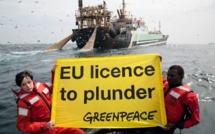 L’Europe veut le poisson du Sénégal mais rejette ses migrants (Organisation)