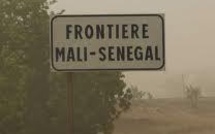Surveillance des frontières : Deux jihadistes arrêtés au Sénégal