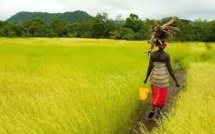 Réforme foncière : Le Congad relève les germes de l’échec de la prochaine réforme foncière