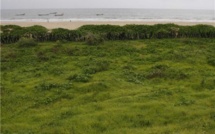 La véritable histoire du Français retrouvé mort pendant l'attaque rebelle en Casamance