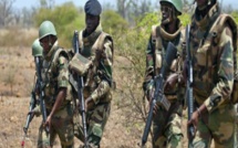 Casamance - Forêt de Bissine: Deux corps en état de décomposition retrouvés par l'armée