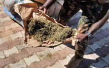 Fatick: 263 kg de chanvre indien saisis au quai de Sibassor 