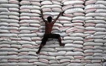Demande d’aide en riz : le Japon dit non au Sénégal