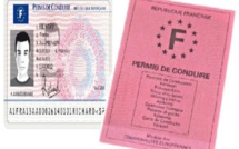 « Les anciens permis de conduire ne sont plus valables, ils constituent désormais une infraction » ( Ministère)