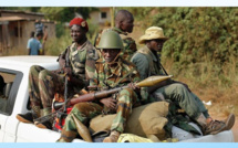 Centrafrique : 44 rebelles tués par les forces centrafricaines et leurs alliées
