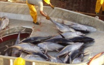 Versement de 170 euros par des bateaux européens : le GAIPS annonce une plainte contre Haïdar El Ali