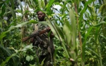 RDC: les rebelles maï-maï menacent le découpage du Katanga