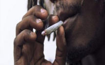 Arrêté pour consommation de chanvre indien, un enseignant explique qu’il fume pour supporter le bruit des élèves